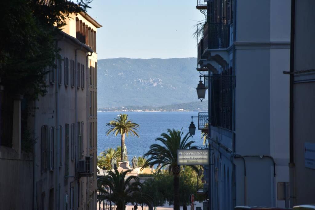 Appartement Plein De Charme - Ajaccio Hyper Centre ภายนอก รูปภาพ